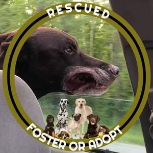 Meet your Posher, Shana